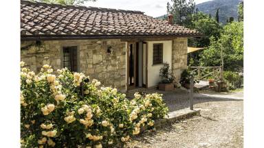 Casa Pelago
