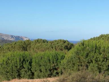 Villa Portixeddu