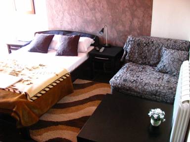 Private room Podgorica