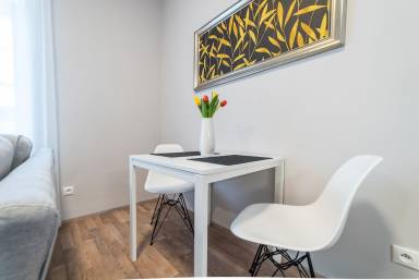 Apartment  Ceske Budejovice
