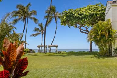 Condo  Haleiwa