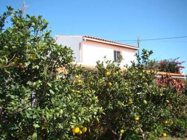 Cottage  Granadilla de Abona