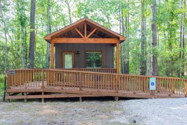 Cabin Livingston