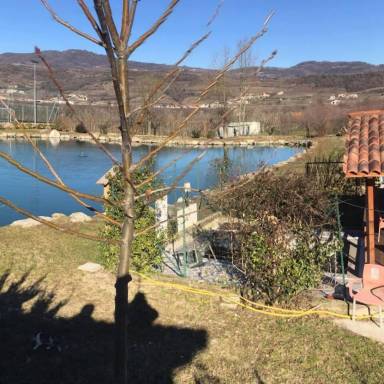 Alloggio  Colognola ai Colli