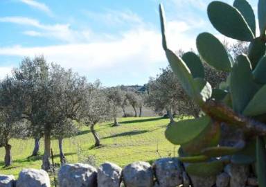 Casale  Modica