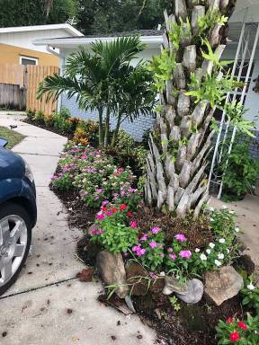 House Bradenton