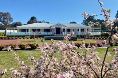Bed and breakfast  Stanthorpe