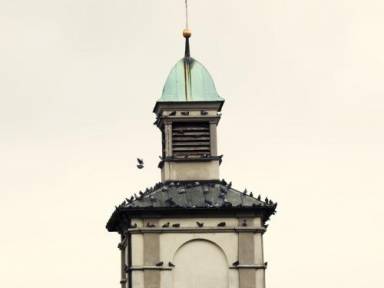 Bed & Breakfast  Eschen