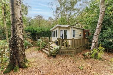 Cabin Holt