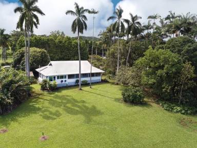 House  Hilo