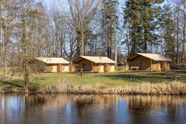 Herberg Assen