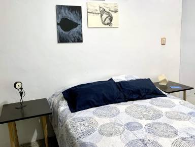 Apartamento Javier Rojo Gómez