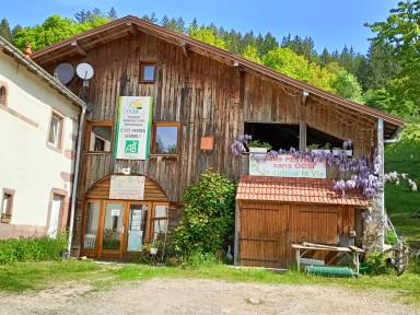 Maison de vacances Gérardmer