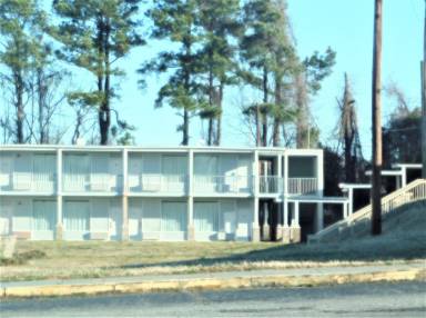 Motel  The Pines