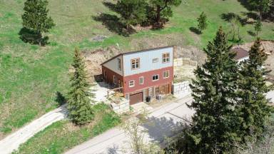 Cabin Deadwood