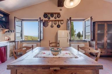 Farmhouse  Falciani