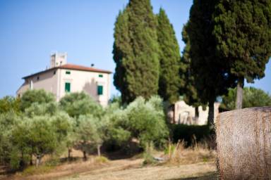 Villa Crespina