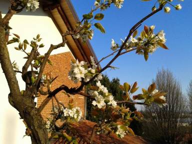 Bed & Breakfast Biella