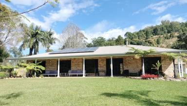 House  Murwillumbah