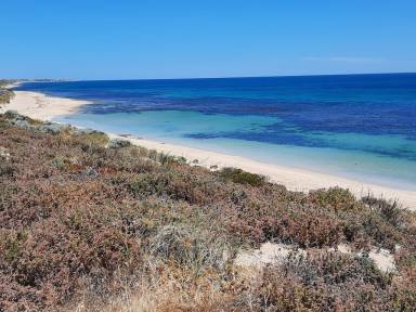 Caravan  Mandurah