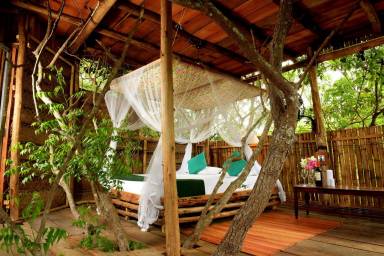 Bed and breakfast Wirawila