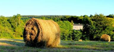 House  Besneville