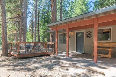 Cabin  Camp Connell