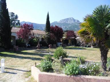Appartement Calvi