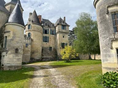 House  Le Grand-Pressigny