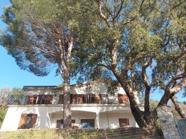 Apartment  Lascari
