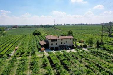 Apartment  San Pietro In Cariano