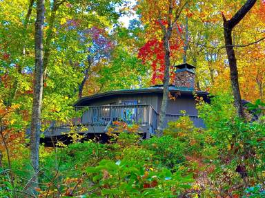 Cabin  Cleveland