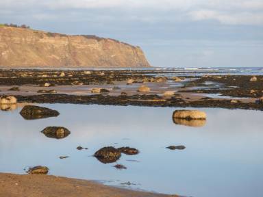 Cottage Robin Hood's Bay
