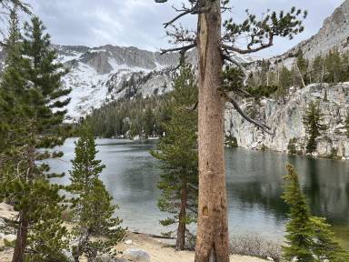 Cabin Mammoth Lakes