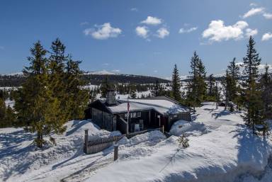 Hütte Sjusjøen