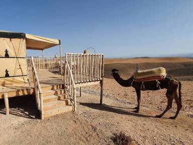 Camping El Moukhtar
