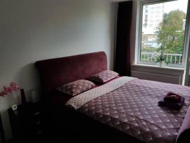 Chambre d'hôtes  Amsterdam