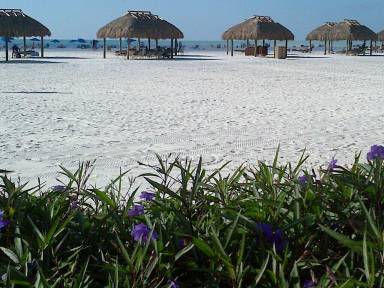 Condo Marco Island