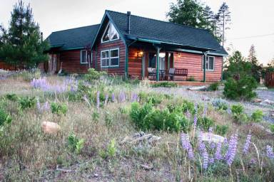 Cabin  Yosemite West