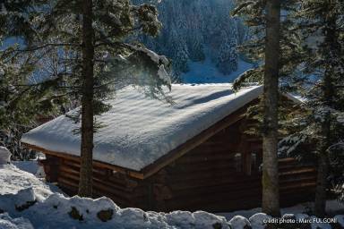 Chalet La Bresse