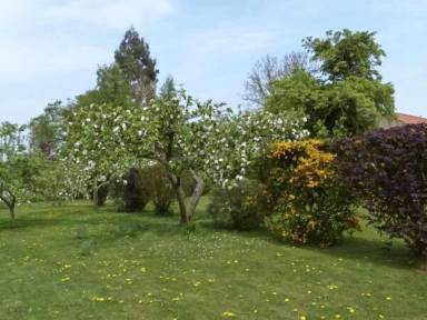 Cottage Ferrensby