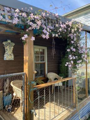 Cottage Cygnet