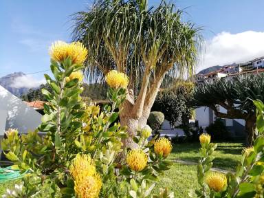 House Sao Vicente