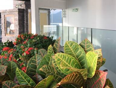 Apartamento Santa Marta