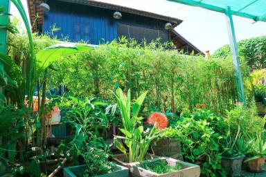 House Krong Siem Reap