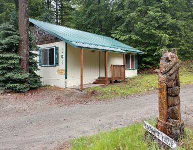 Cabin Packwood