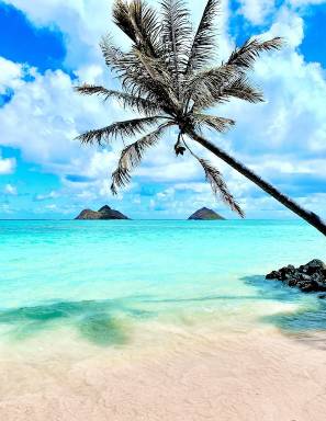House  Lanikai