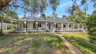 Farmhouse  Wollombi