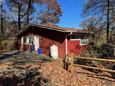 Cabin  Five Points