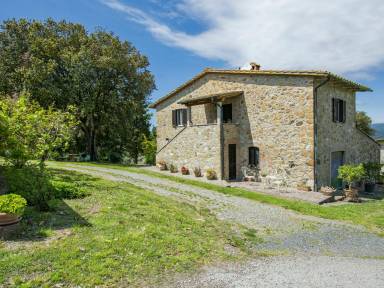 Villa  Bibbona